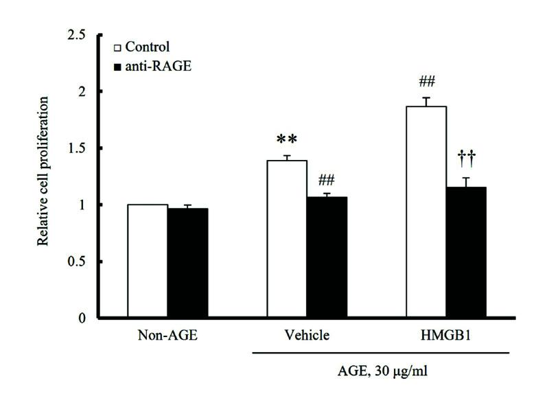 https://cdn.ncbi.nlm.nih.gov/pmc/blobs/2b9b/9437367/62d3ff4a77ff/kjpp-26-5-389-f2.jpg