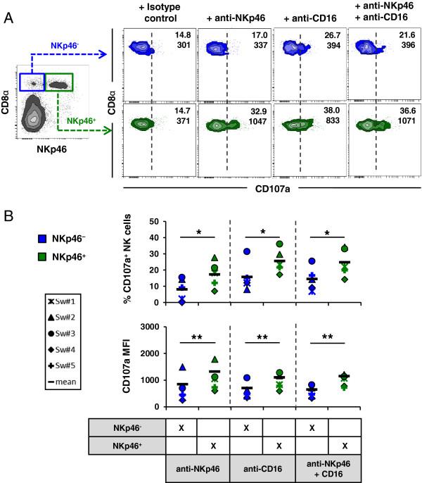 https://cdn.ncbi.nlm.nih.gov/pmc/blobs/2b9c/3599810/2aace8fafeee/1297-9716-44-13-4.jpg