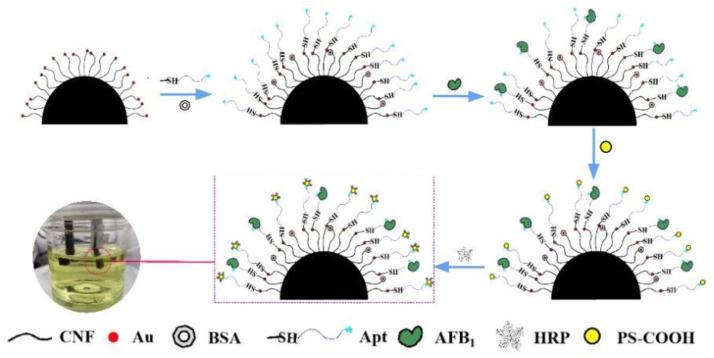 https://cdn.ncbi.nlm.nih.gov/pmc/blobs/2b9c/9599888/957790f90df3/biosensors-12-00897-sch001.jpg