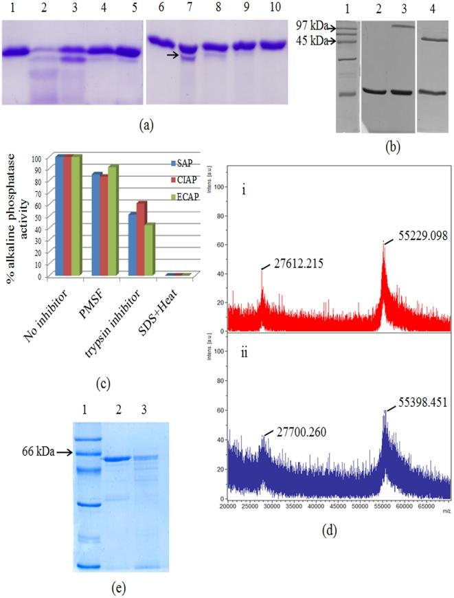 https://cdn.ncbi.nlm.nih.gov/pmc/blobs/2b9d/3234256/1bb30804bb20/pone.0028470.g004.jpg