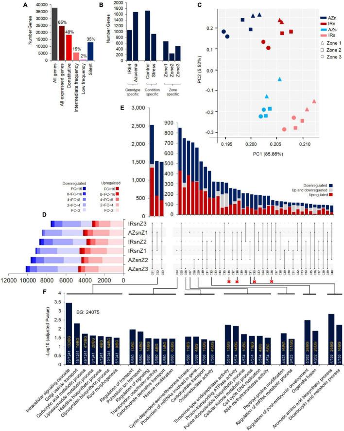 https://cdn.ncbi.nlm.nih.gov/pmc/blobs/2b9d/8899714/cc80017cec0e/fpls-13-792079-g003.jpg
