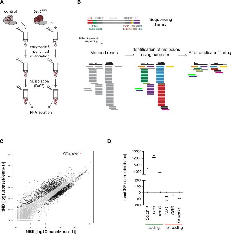 https://cdn.ncbi.nlm.nih.gov/pmc/blobs/2b9e/5871330/647eed6a2edb/elife-31347-fig3.jpg