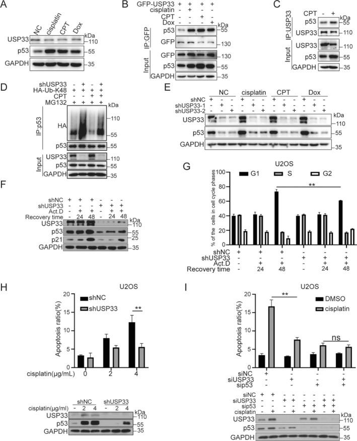https://cdn.ncbi.nlm.nih.gov/pmc/blobs/2b9f/12099211/b2d81d9bd42a/CPR-58-e13793-g004.jpg