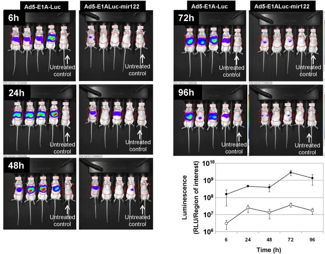 https://cdn.ncbi.nlm.nih.gov/pmc/blobs/2ba2/2678247/2f0ea052f916/ppat.1000440.g005.jpg
