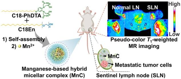 https://cdn.ncbi.nlm.nih.gov/pmc/blobs/2ba4/10244211/12c1b406a09e/rbad053f7.jpg