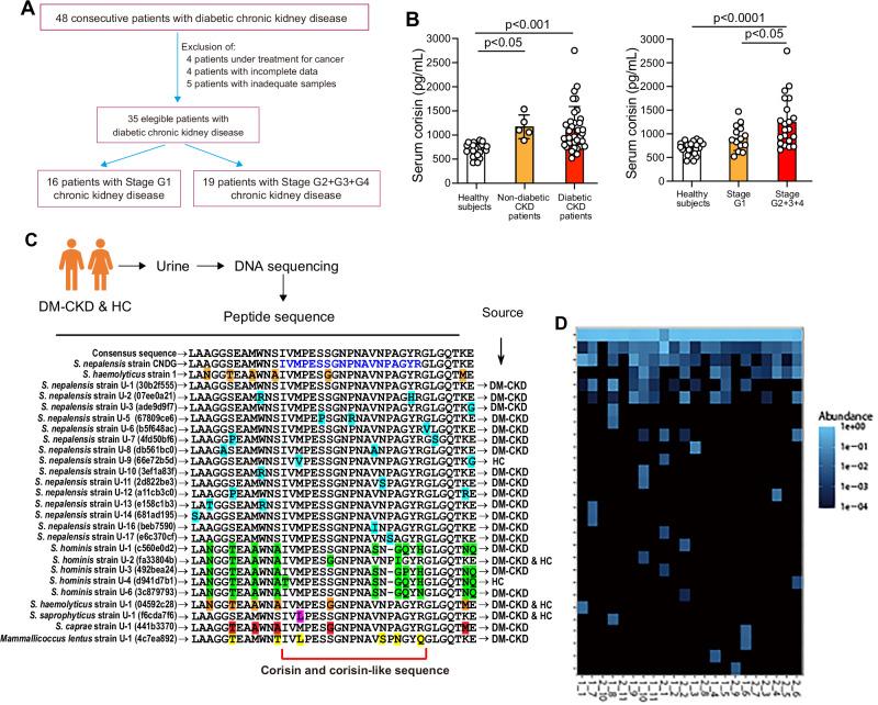 https://cdn.ncbi.nlm.nih.gov/pmc/blobs/2ba7/12379261/95c3ac32f876/41467_2025_61847_Fig1_HTML.jpg