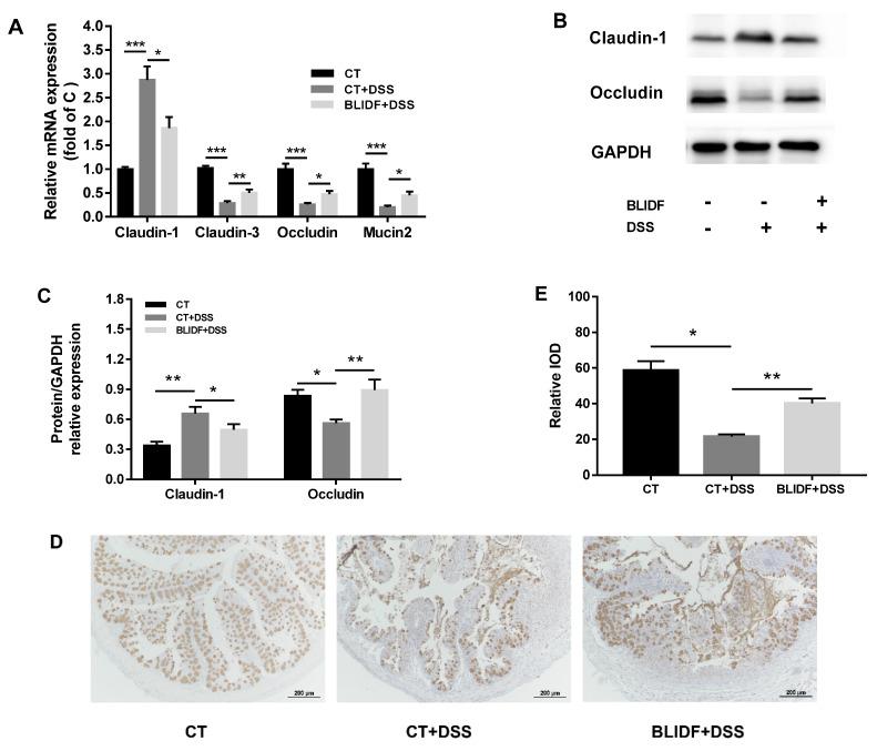 https://cdn.ncbi.nlm.nih.gov/pmc/blobs/2ba9/8001343/f4c4afb1f999/nutrients-13-00846-g007.jpg