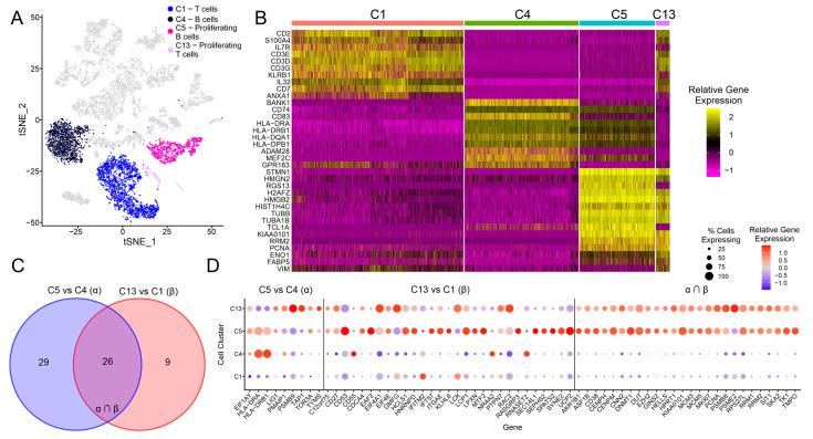 https://cdn.ncbi.nlm.nih.gov/pmc/blobs/2baa/10296402/0abfe77ea416/cancers-15-03178-g003.jpg