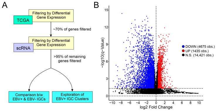 https://cdn.ncbi.nlm.nih.gov/pmc/blobs/2baa/10296402/1699e5388df9/cancers-15-03178-g002.jpg