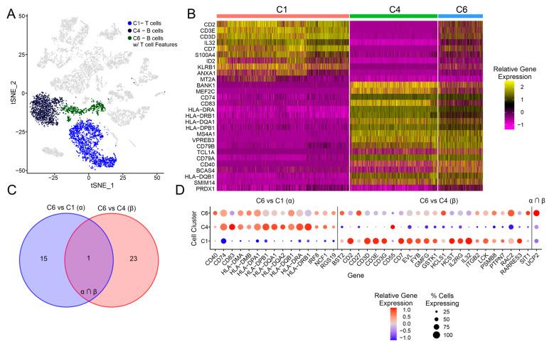 https://cdn.ncbi.nlm.nih.gov/pmc/blobs/2baa/10296402/c2a4f818885f/cancers-15-03178-g004.jpg