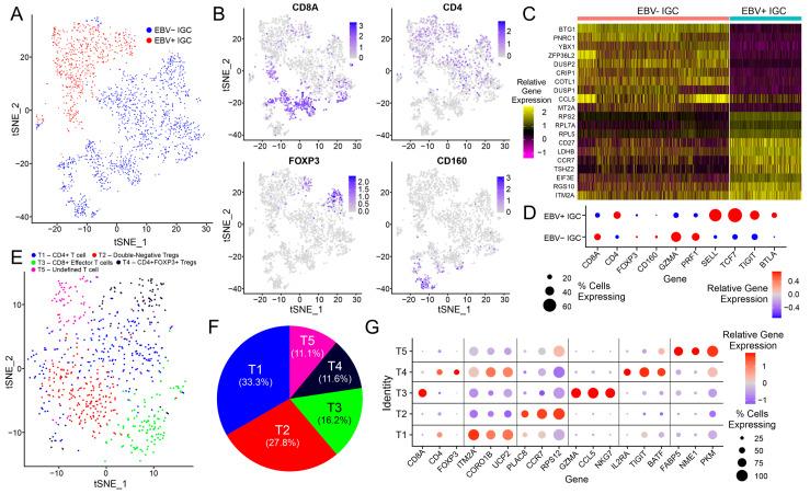 https://cdn.ncbi.nlm.nih.gov/pmc/blobs/2baa/10296402/fae4f8cd2bfd/cancers-15-03178-g006.jpg