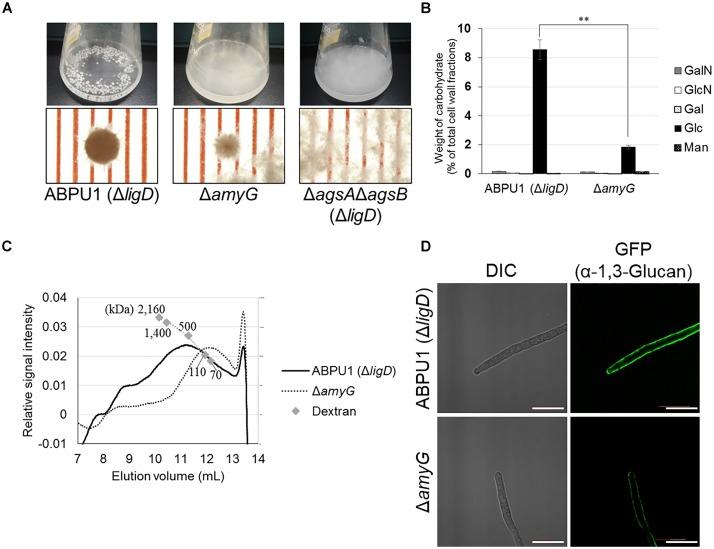 https://cdn.ncbi.nlm.nih.gov/pmc/blobs/2baa/6232457/ac7dbce1edca/fmicb-09-02623-g011.jpg