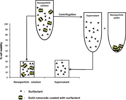 https://cdn.ncbi.nlm.nih.gov/pmc/blobs/2bac/2988217/b1df544b40e3/11051_2010_9911_Fig4_HTML.jpg