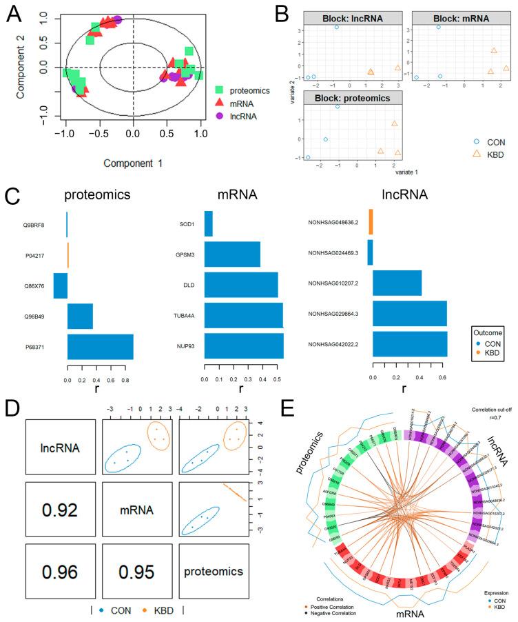 https://cdn.ncbi.nlm.nih.gov/pmc/blobs/2baf/12155242/c9a9bccb8af7/ijms-26-05146-g004.jpg