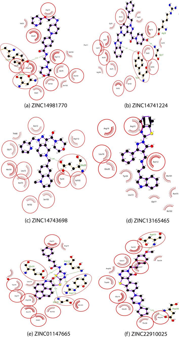 https://cdn.ncbi.nlm.nih.gov/pmc/blobs/2bb0/11704096/e2038c89fb1d/40203_2024_298_Fig2a_HTML.jpg