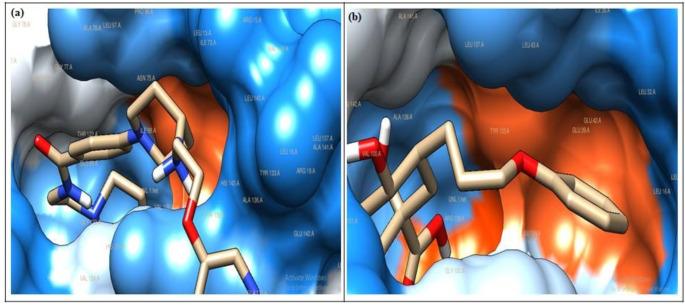 https://cdn.ncbi.nlm.nih.gov/pmc/blobs/2bb0/11704096/ea1a14016720/40203_2024_298_Fig1_HTML.jpg
