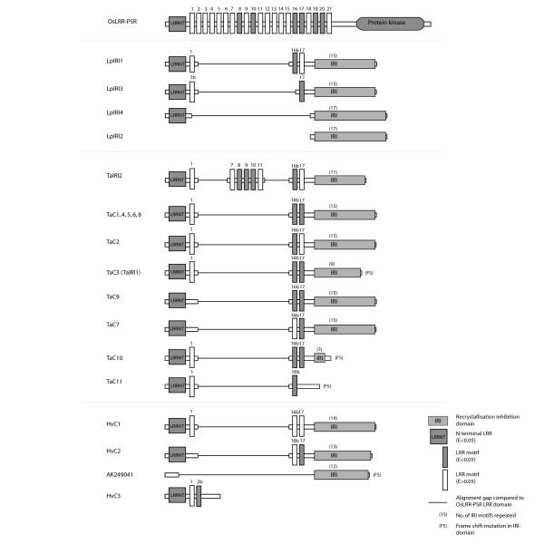https://cdn.ncbi.nlm.nih.gov/pmc/blobs/2bb0/2542378/1090efbaca9b/1471-2148-8-245-1.jpg