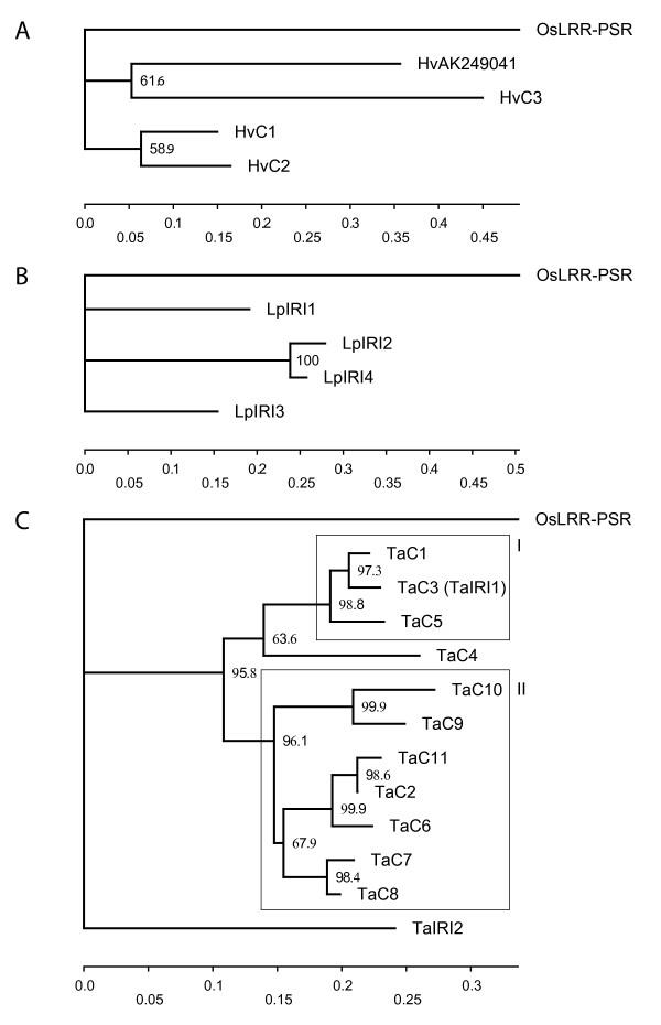 https://cdn.ncbi.nlm.nih.gov/pmc/blobs/2bb0/2542378/83a187091af9/1471-2148-8-245-2.jpg