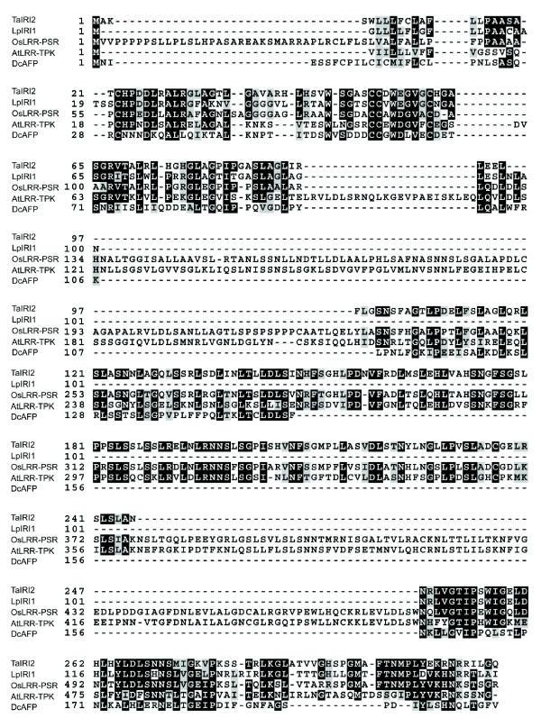 https://cdn.ncbi.nlm.nih.gov/pmc/blobs/2bb0/2542378/c3de4de3f82f/1471-2148-8-245-5.jpg