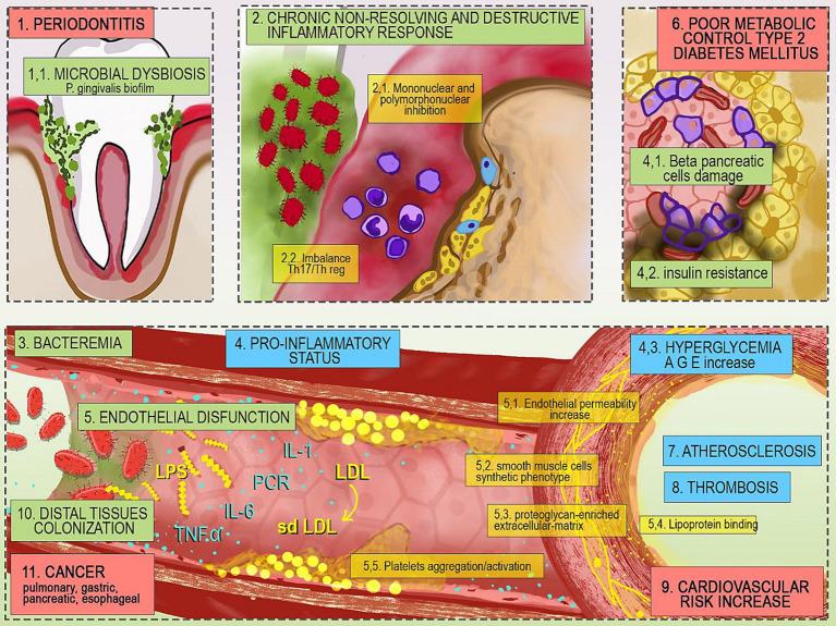 https://cdn.ncbi.nlm.nih.gov/pmc/blobs/2bb2/10771979/823c1b472f81/fpubh-11-1270557-g001.jpg