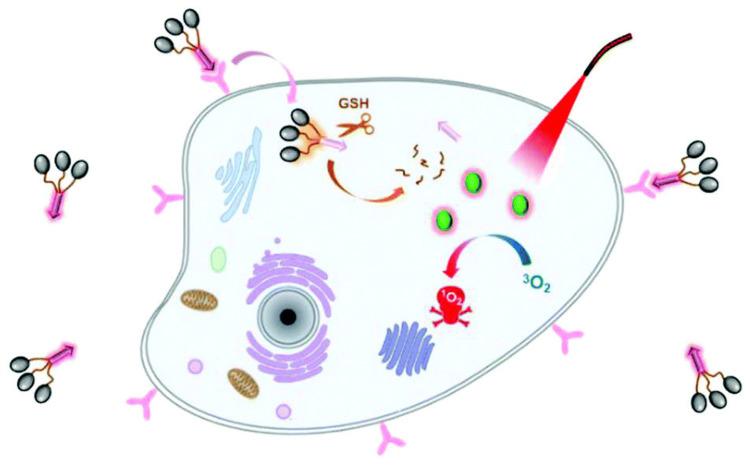 https://cdn.ncbi.nlm.nih.gov/pmc/blobs/2bb3/12136068/f2455747e672/IJN-20-7037-g0005.jpg