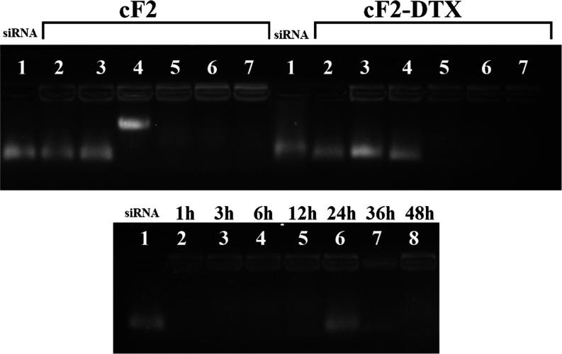 https://cdn.ncbi.nlm.nih.gov/pmc/blobs/2bb5/10938417/38952ab426d5/ao3c09098_0007.jpg