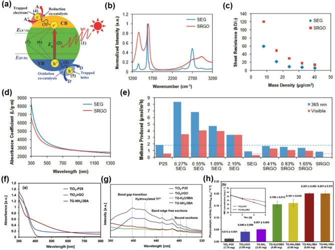 https://cdn.ncbi.nlm.nih.gov/pmc/blobs/2bb6/12204958/61bb33e47913/40580_2025_498_Fig6_HTML.jpg