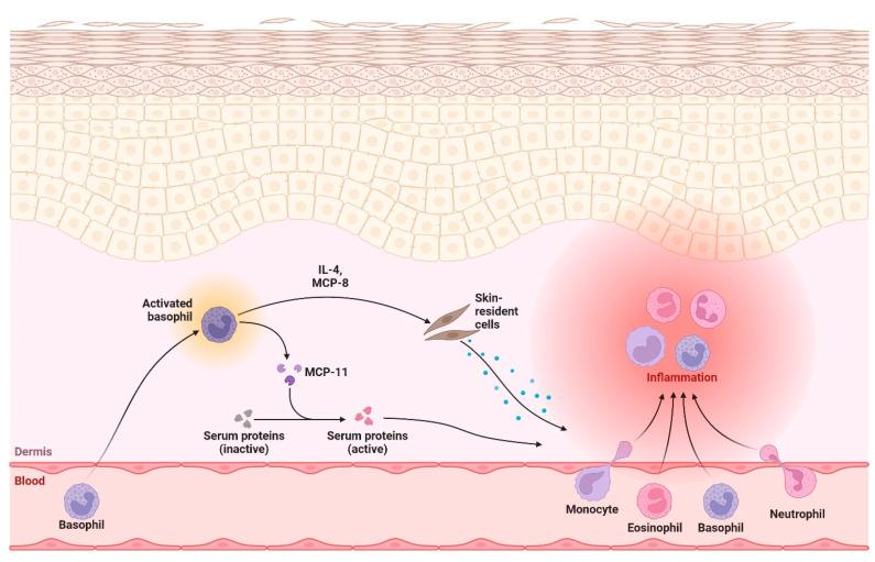 https://cdn.ncbi.nlm.nih.gov/pmc/blobs/2bb7/11430151/0913a5c9fe9e/biomolecules-14-01110-g005.jpg