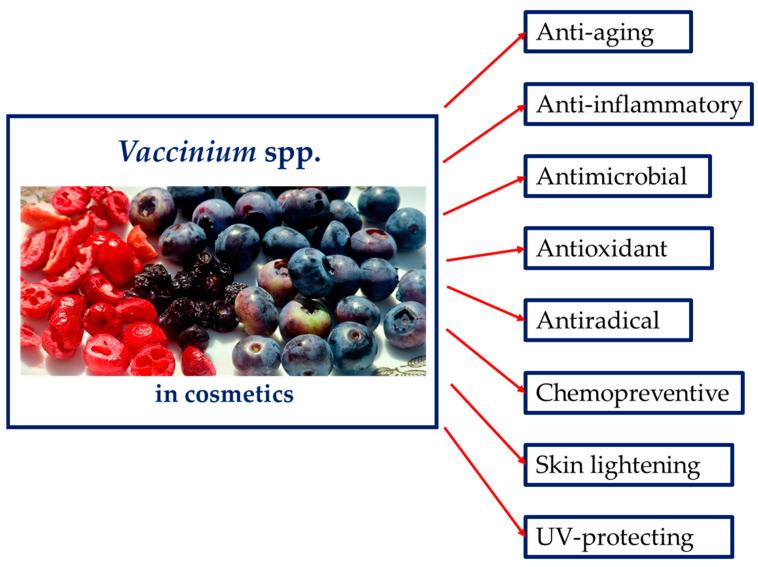 https://cdn.ncbi.nlm.nih.gov/pmc/blobs/2bb7/11430151/265b618d0c46/biomolecules-14-01110-g006.jpg