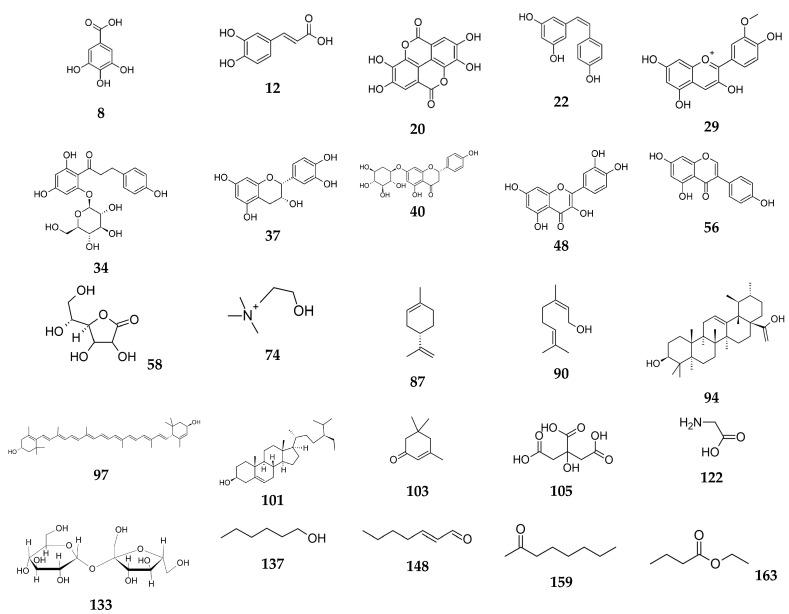 https://cdn.ncbi.nlm.nih.gov/pmc/blobs/2bb7/11430151/588efa715909/biomolecules-14-01110-g001.jpg