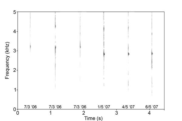 https://cdn.ncbi.nlm.nih.gov/pmc/blobs/2bb7/2596769/9a302c1355b6/1741-7007-6-47-4.jpg