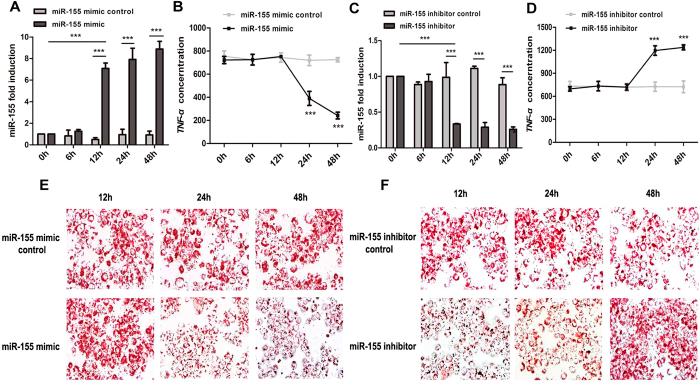 https://cdn.ncbi.nlm.nih.gov/pmc/blobs/2bb7/4761895/26bdaaf5cddc/srep21789-f2.jpg