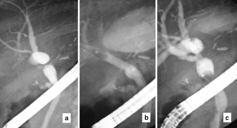 https://cdn.ncbi.nlm.nih.gov/pmc/blobs/2bba/2716905/1eee72466eae/12072_2008_9092_Fig3_HTML.jpg