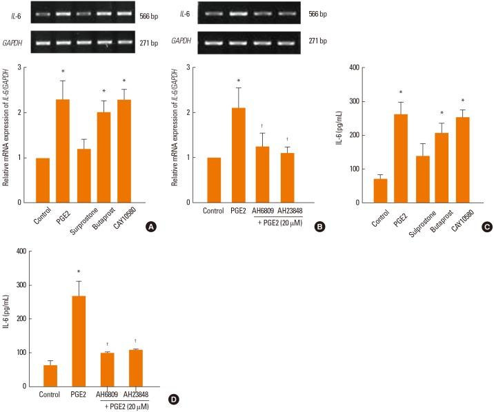 https://cdn.ncbi.nlm.nih.gov/pmc/blobs/2bba/4161687/454c48602798/aair-6-449-g003.jpg
