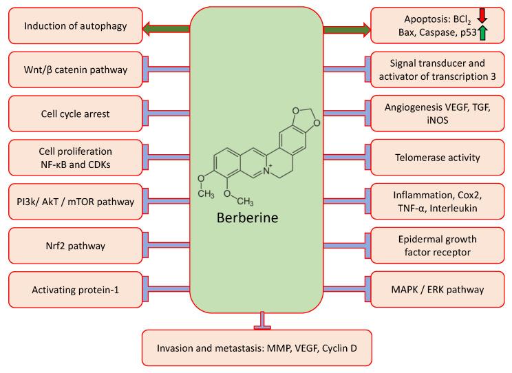 https://cdn.ncbi.nlm.nih.gov/pmc/blobs/2bbc/9505063/29c45aba15f3/molecules-27-05889-g002.jpg