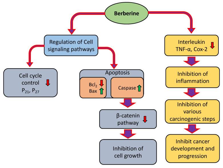 https://cdn.ncbi.nlm.nih.gov/pmc/blobs/2bbc/9505063/d98e37716a81/molecules-27-05889-g001.jpg