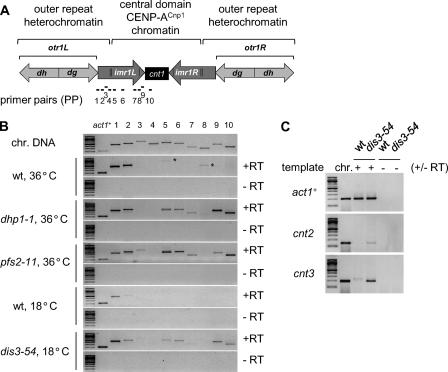 https://cdn.ncbi.nlm.nih.gov/pmc/blobs/2bbf/3123123/1e896cf69643/zbc0301167810003.jpg