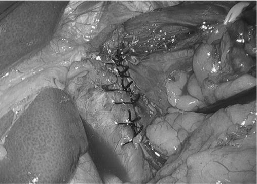 https://cdn.ncbi.nlm.nih.gov/pmc/blobs/2bbf/3183546/25b4eabcc141/jls0031127650002.jpg