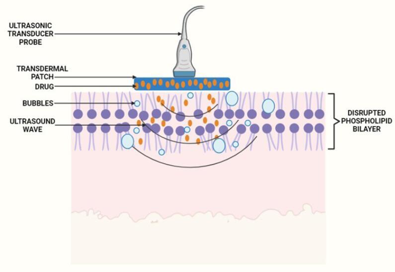 https://cdn.ncbi.nlm.nih.gov/pmc/blobs/2bc0/10997930/3667650cc207/apb-14-67-g007.jpg
