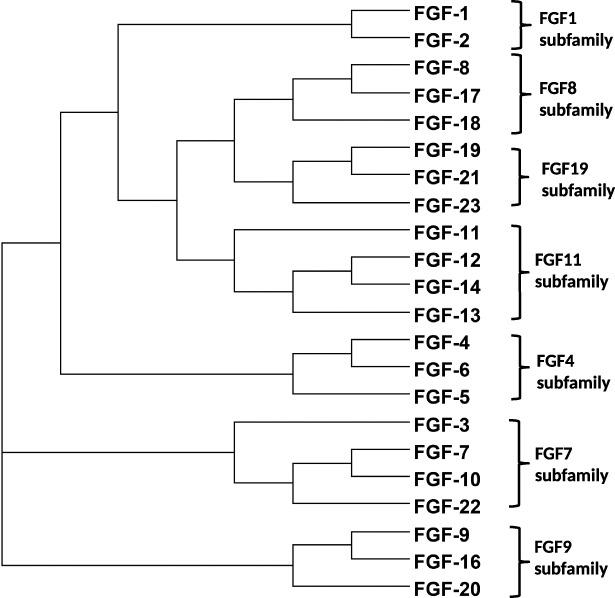 https://cdn.ncbi.nlm.nih.gov/pmc/blobs/2bc3/4715458/0823b7a8dffa/peerj-04-1535-g001.jpg