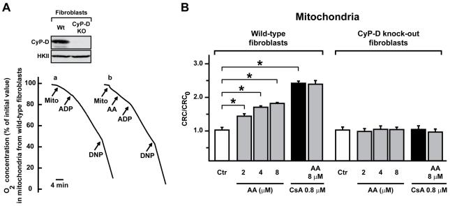 https://cdn.ncbi.nlm.nih.gov/pmc/blobs/2bc4/3030572/d058f82602f0/pone.0016280.g003.jpg
