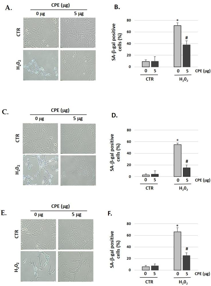 https://cdn.ncbi.nlm.nih.gov/pmc/blobs/2bc4/9921725/347509c301f4/nutrients-15-00544-g002.jpg