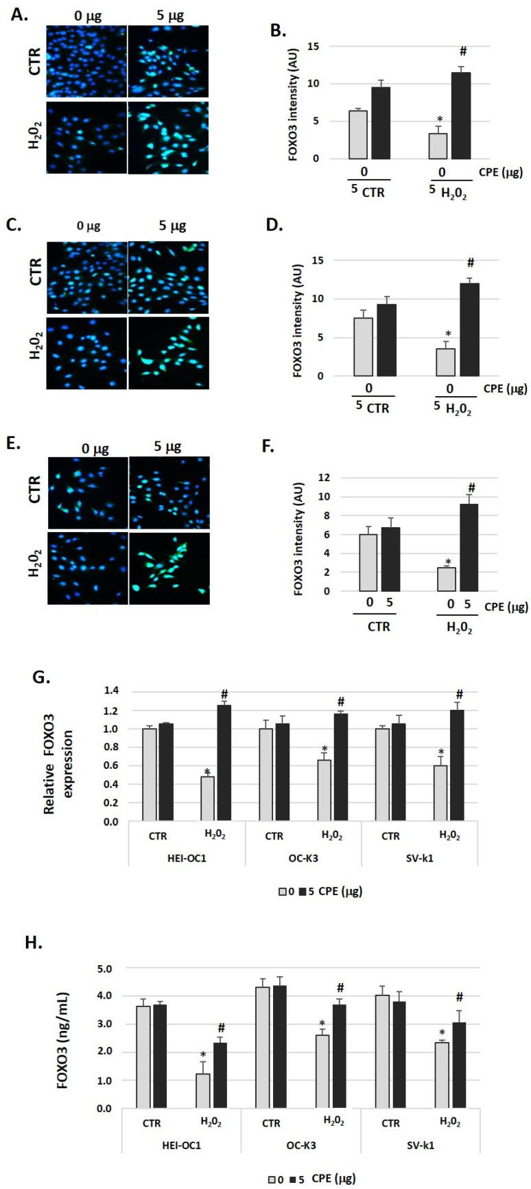 https://cdn.ncbi.nlm.nih.gov/pmc/blobs/2bc4/9921725/642448888293/nutrients-15-00544-g007.jpg