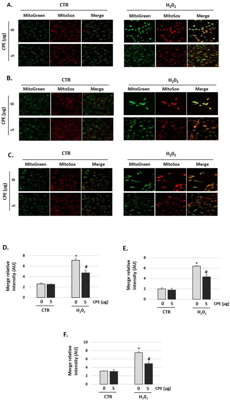 https://cdn.ncbi.nlm.nih.gov/pmc/blobs/2bc4/9921725/837f94ef9d77/nutrients-15-00544-g006.jpg
