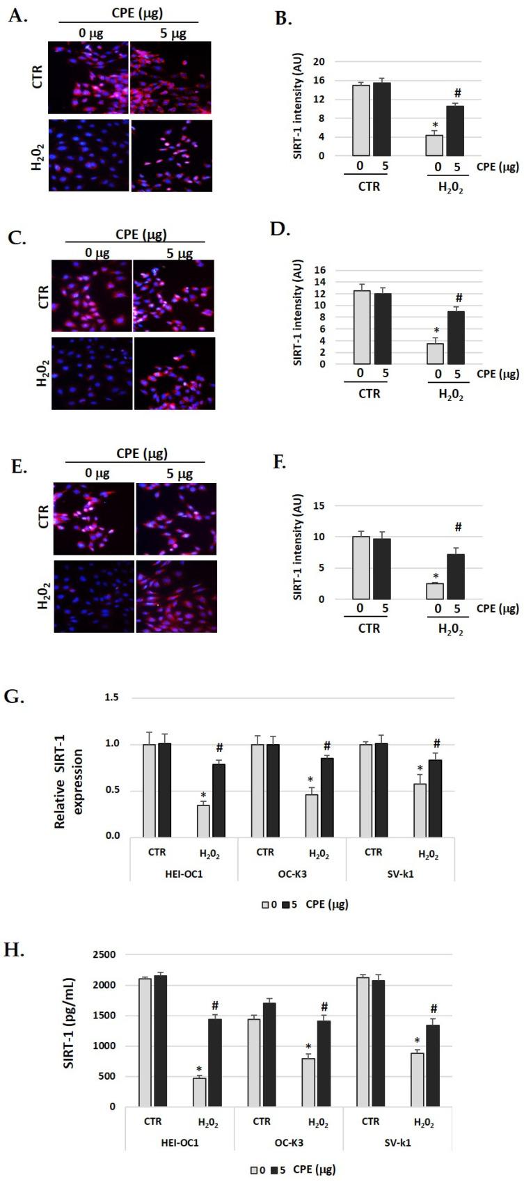 https://cdn.ncbi.nlm.nih.gov/pmc/blobs/2bc4/9921725/89db16c668b8/nutrients-15-00544-g004.jpg