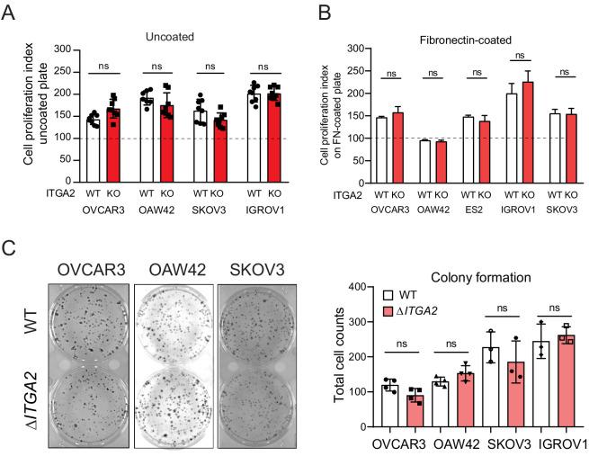 https://cdn.ncbi.nlm.nih.gov/pmc/blobs/2bc5/7541088/0025d325720e/elife-59442-fig3-figsupp1.jpg