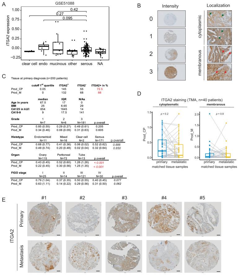 https://cdn.ncbi.nlm.nih.gov/pmc/blobs/2bc5/7541088/22c15a8ab16d/elife-59442-fig2-figsupp1.jpg
