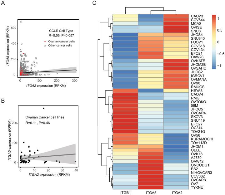 https://cdn.ncbi.nlm.nih.gov/pmc/blobs/2bc5/7541088/33e9b8a70cc7/elife-59442-fig5-figsupp1.jpg