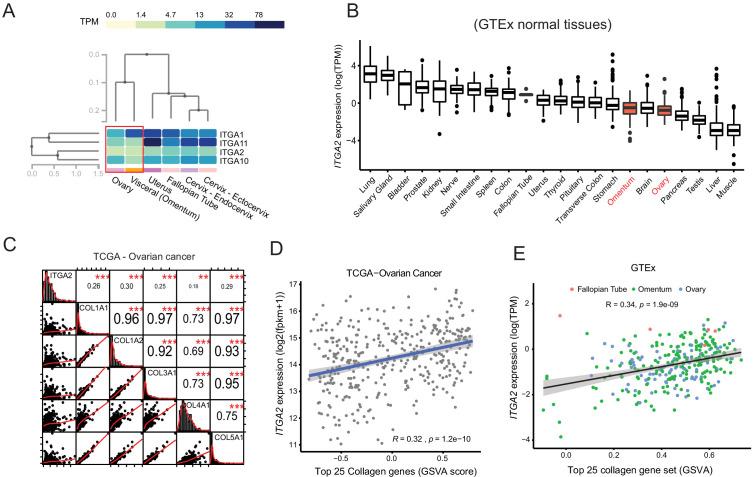 https://cdn.ncbi.nlm.nih.gov/pmc/blobs/2bc5/7541088/5142bf0385f8/elife-59442-fig1-figsupp3.jpg