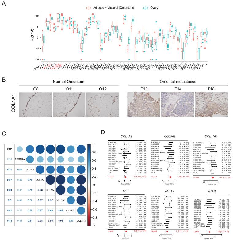 https://cdn.ncbi.nlm.nih.gov/pmc/blobs/2bc5/7541088/61ab67e64182/elife-59442-fig1-figsupp1.jpg
